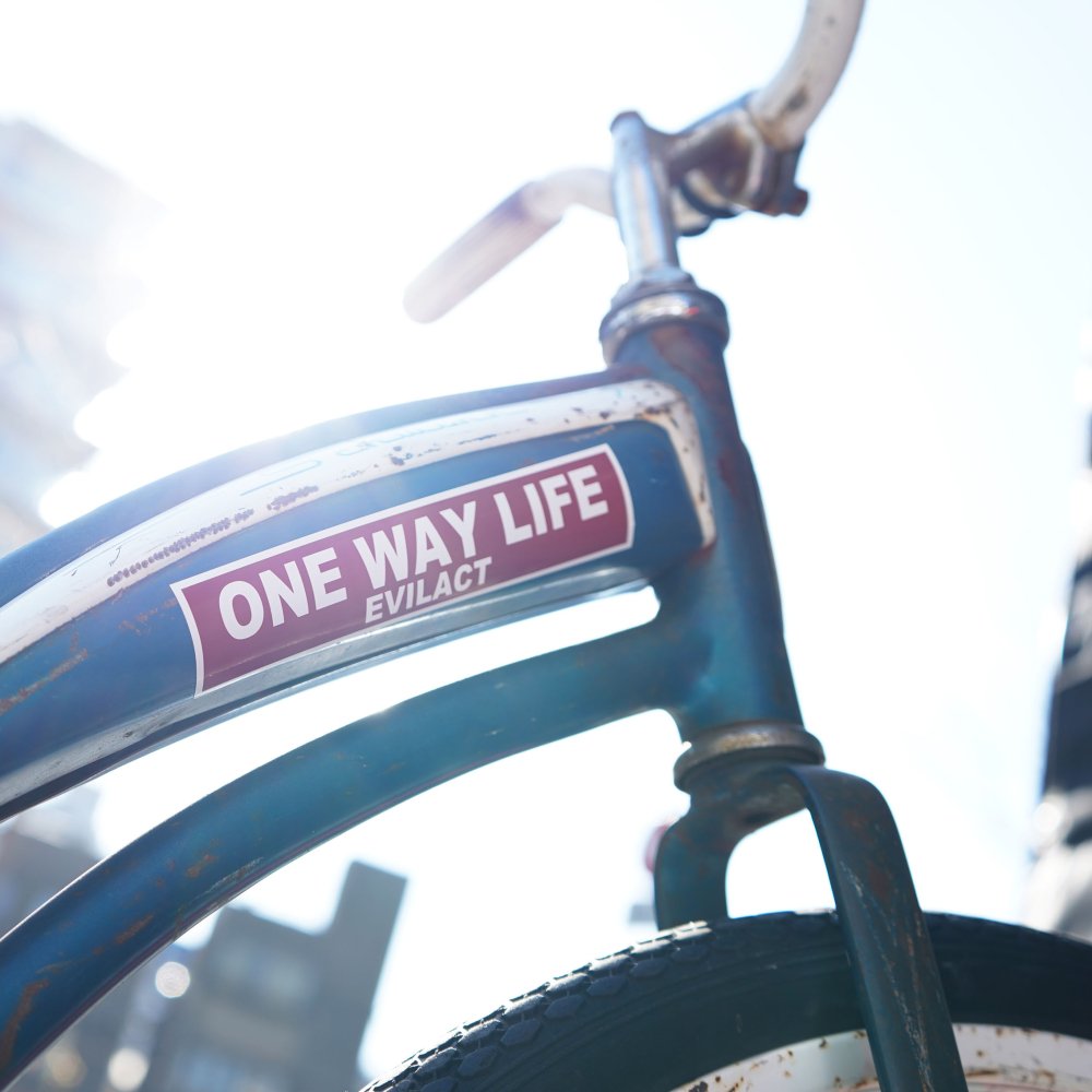 EVILACT "ONE WAY LIFE" sticker S white