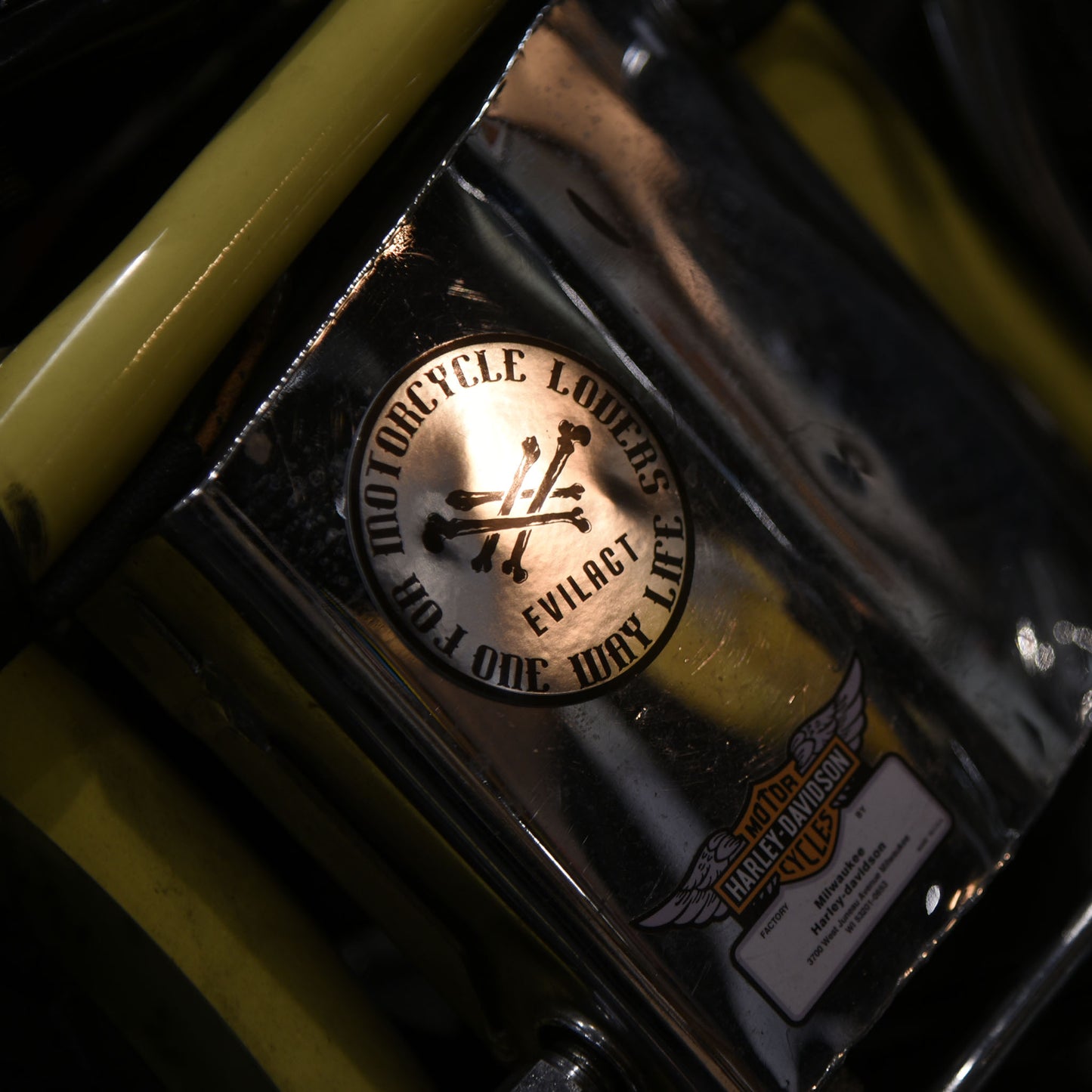 EVILACT Double Cross Bone Round Sticker L