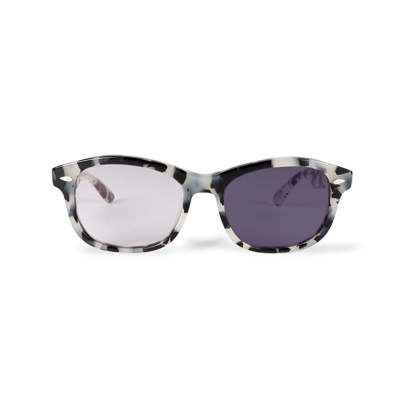 CYCLONE frost dalmatian / color photochromic purple lens