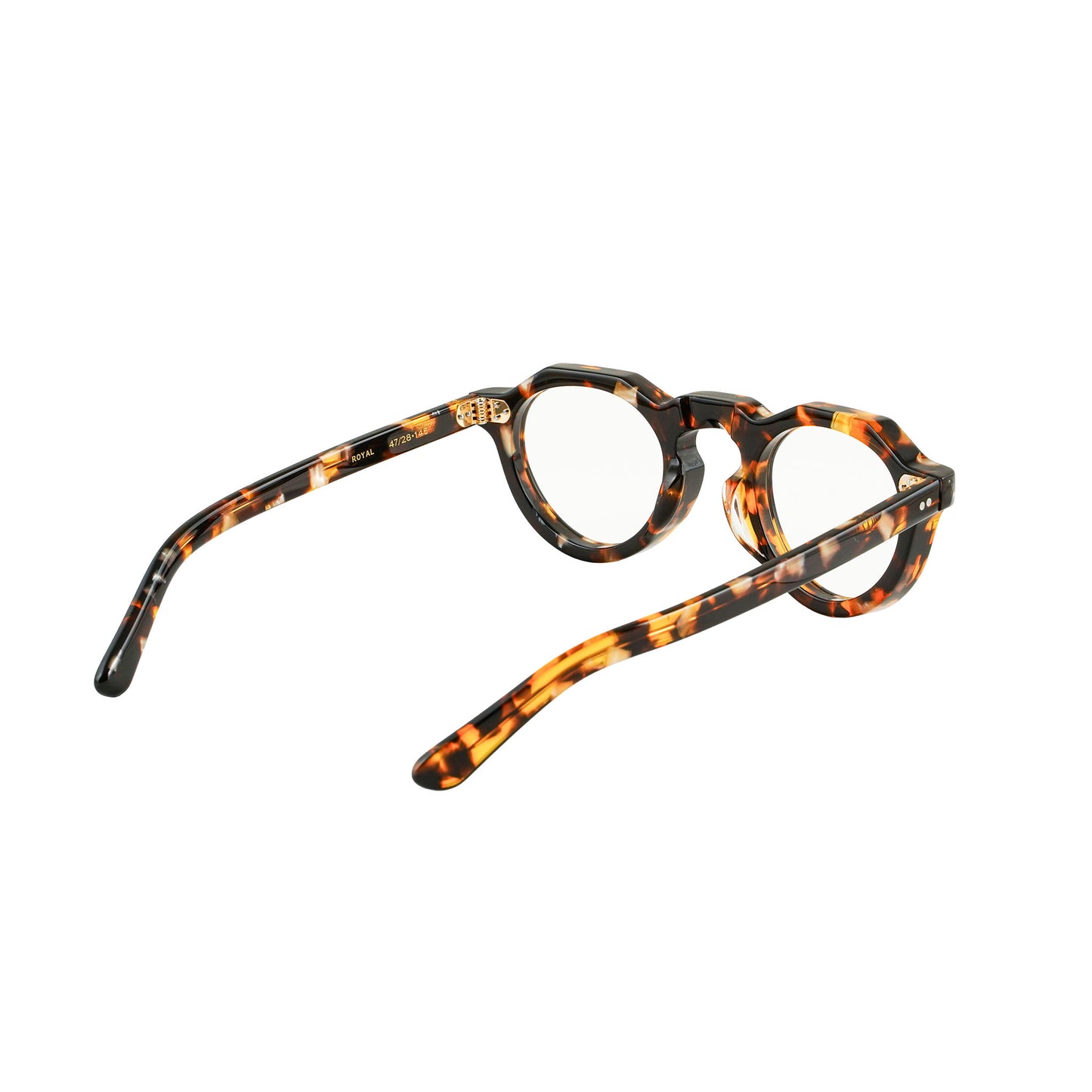 ROYAL havana / photochromic gray lens