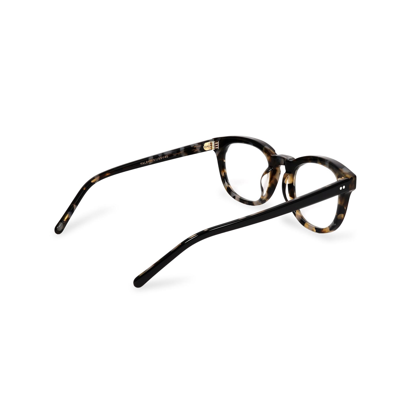 YALEⅡ black x havana / photochromic smoke lens