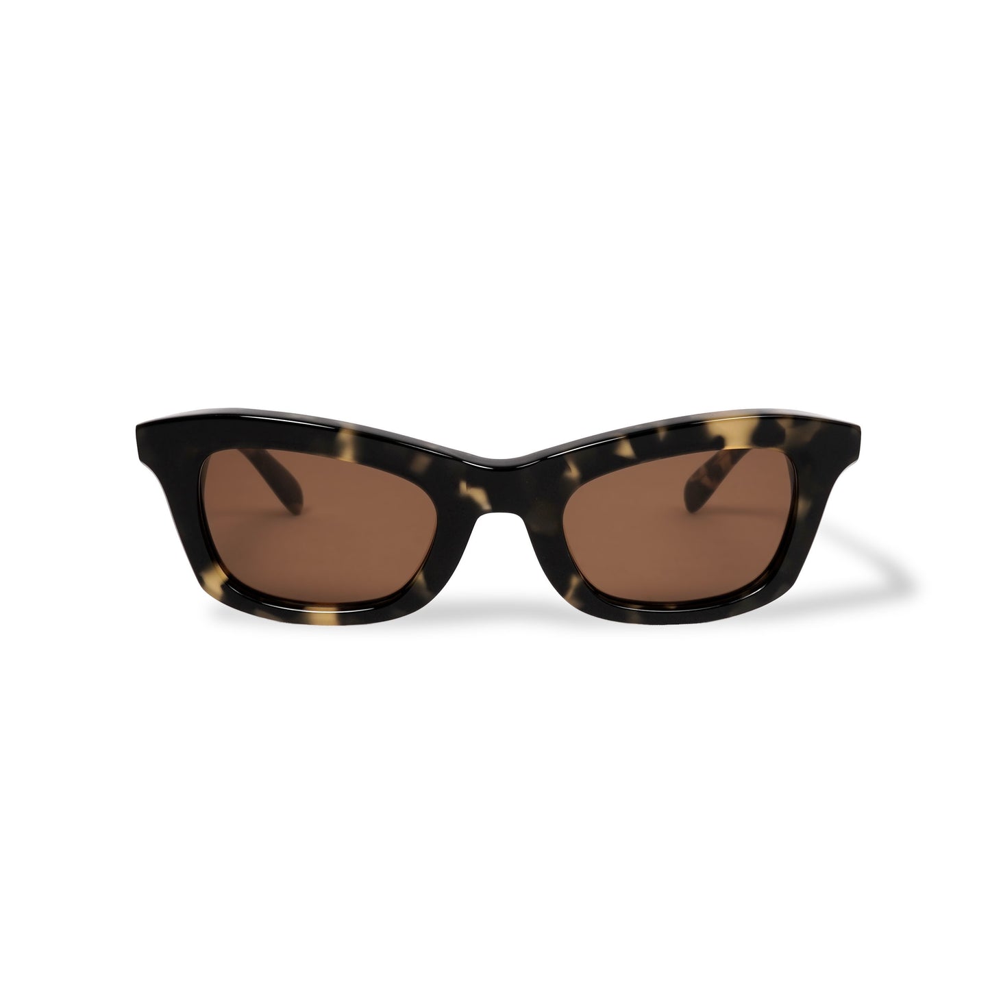 ARROW dalmatian / brown lens