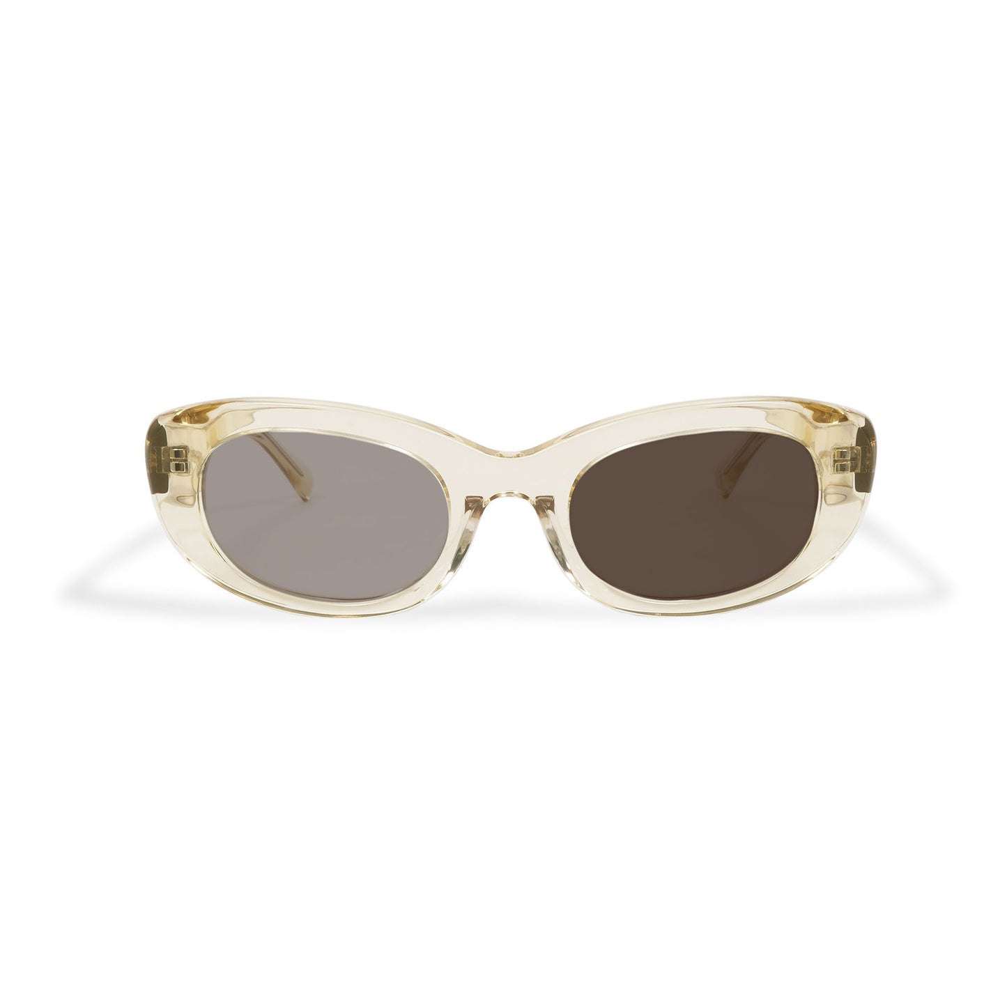 SPIRAL a. clear / dark color photochromic brown lens