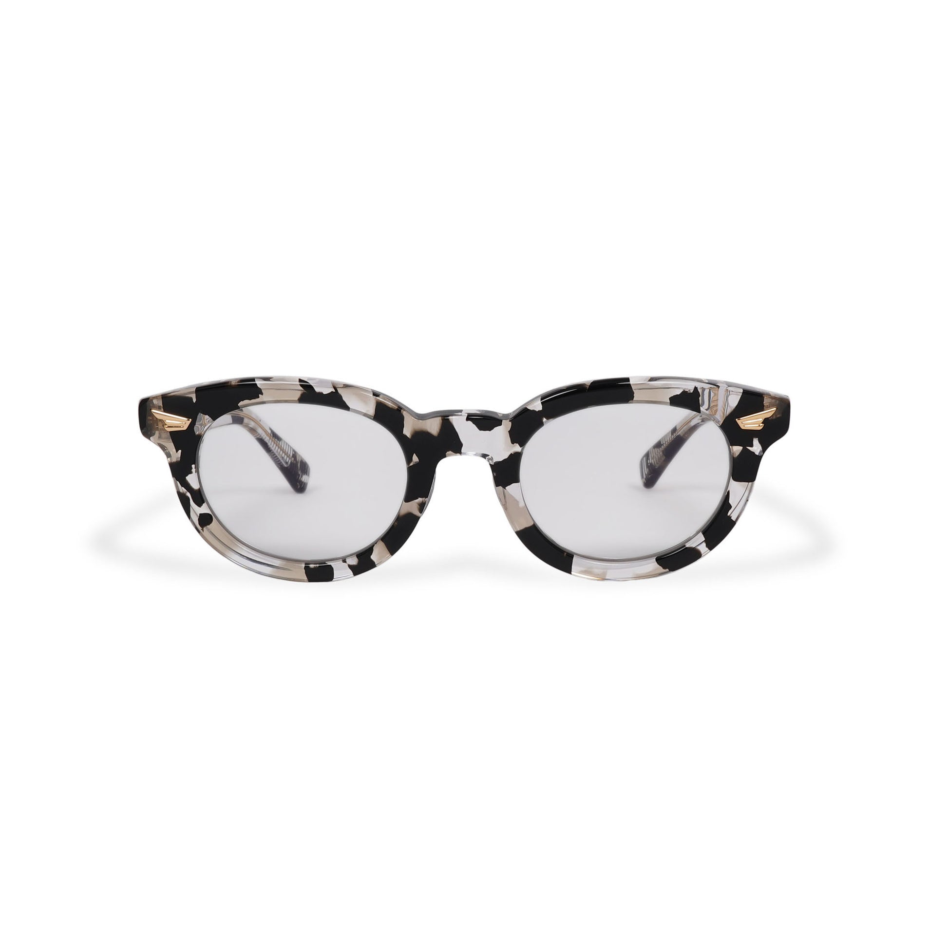 WAGNER dalmatian x clear / color photochromic smoke lens