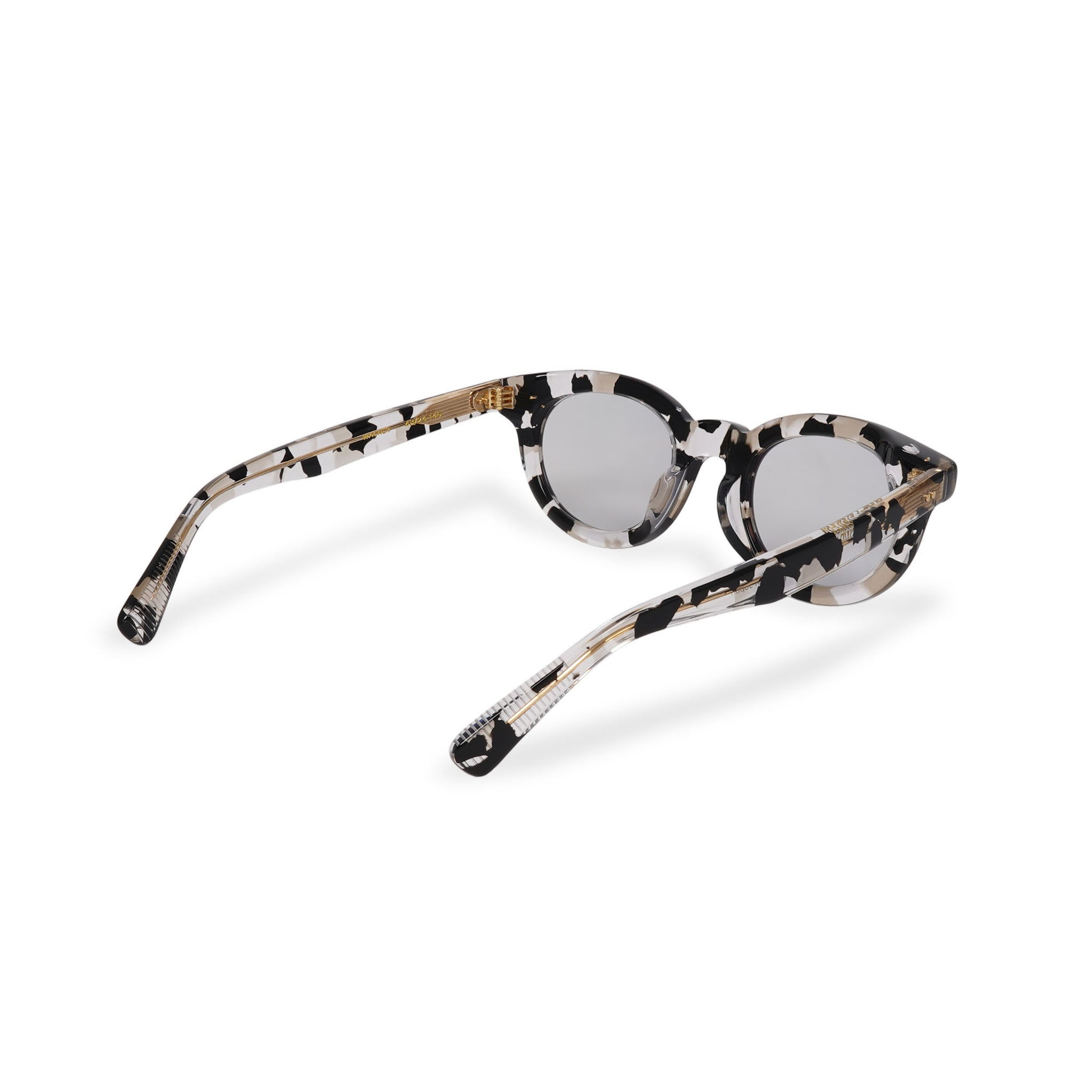 WAGNER dalmatian x clear / color photochromic smoke lens