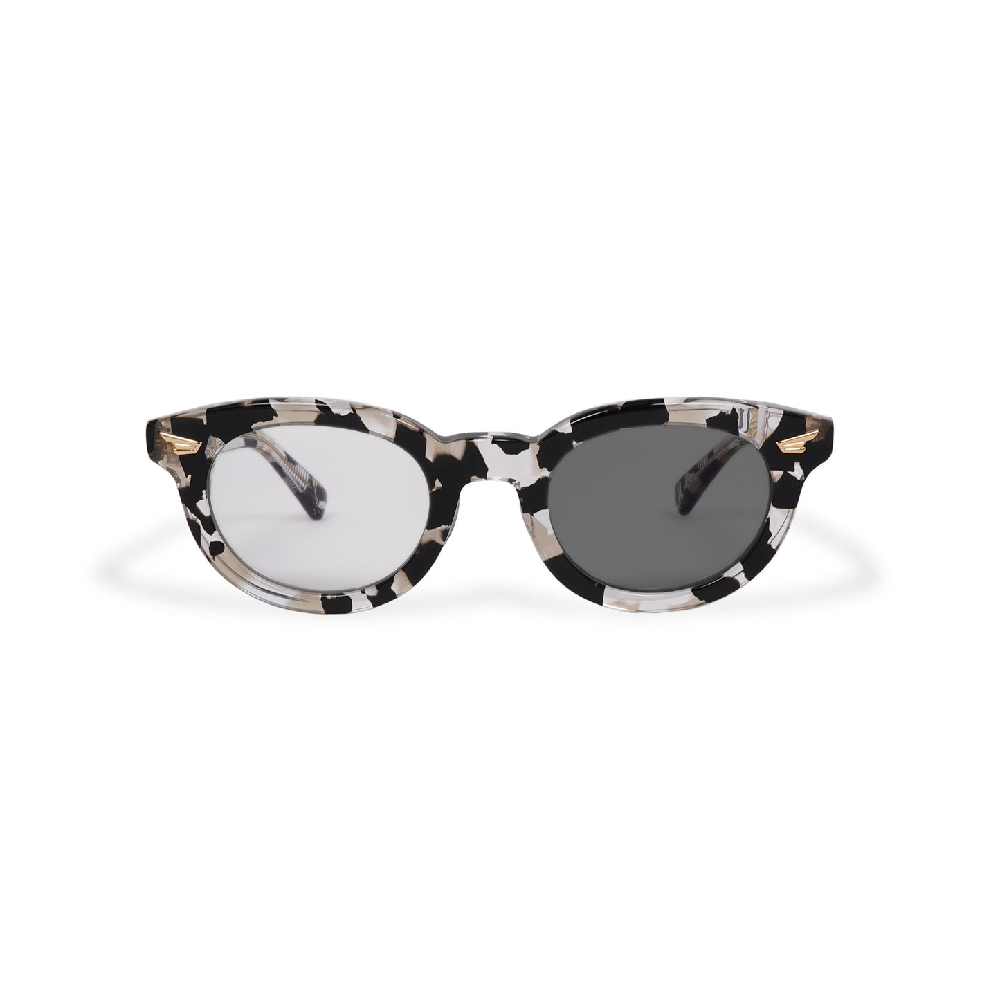 WAGNER dalmatian x clear / color photochromic smoke lens