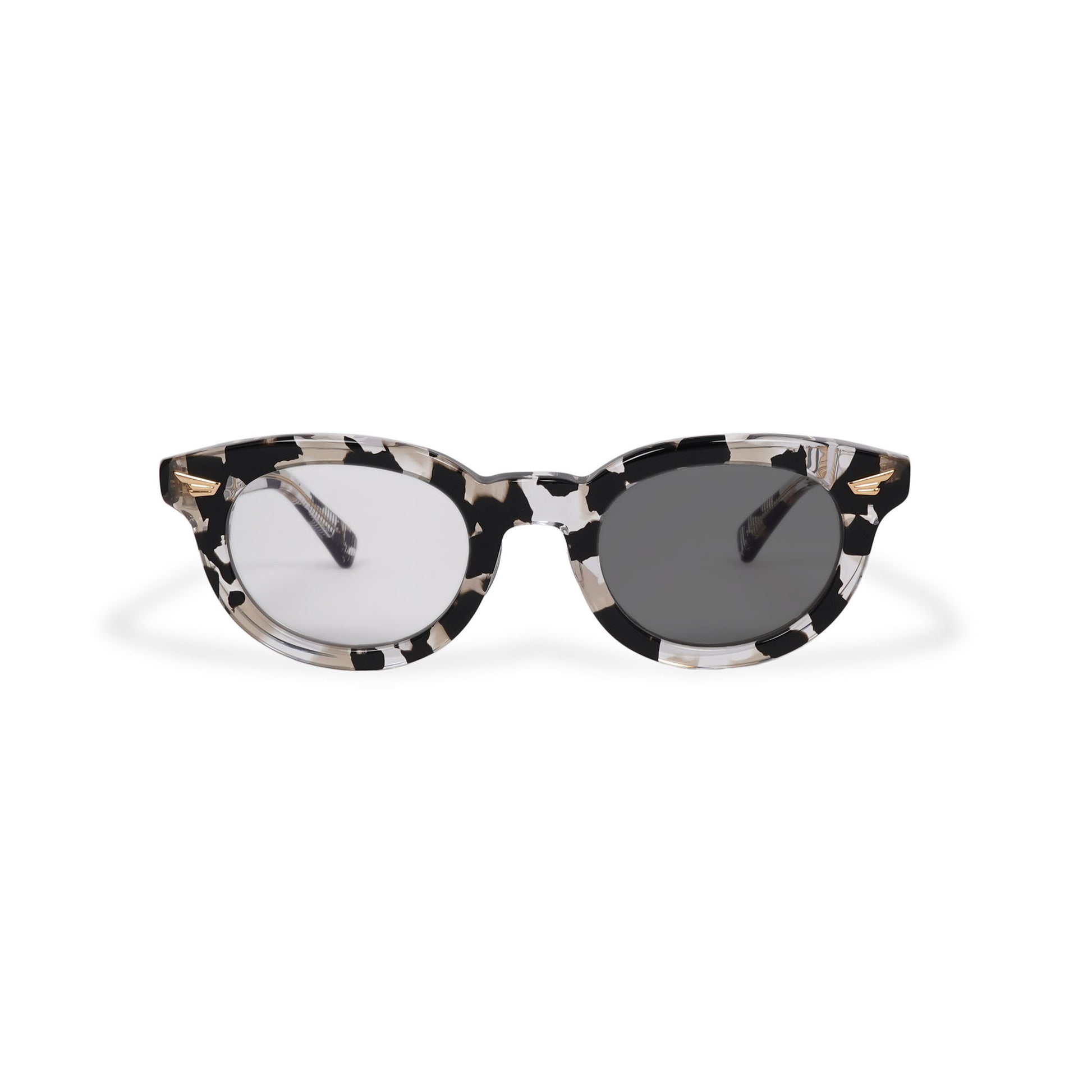 WAGNER dalmatian x clear / color photochromic smoke lens